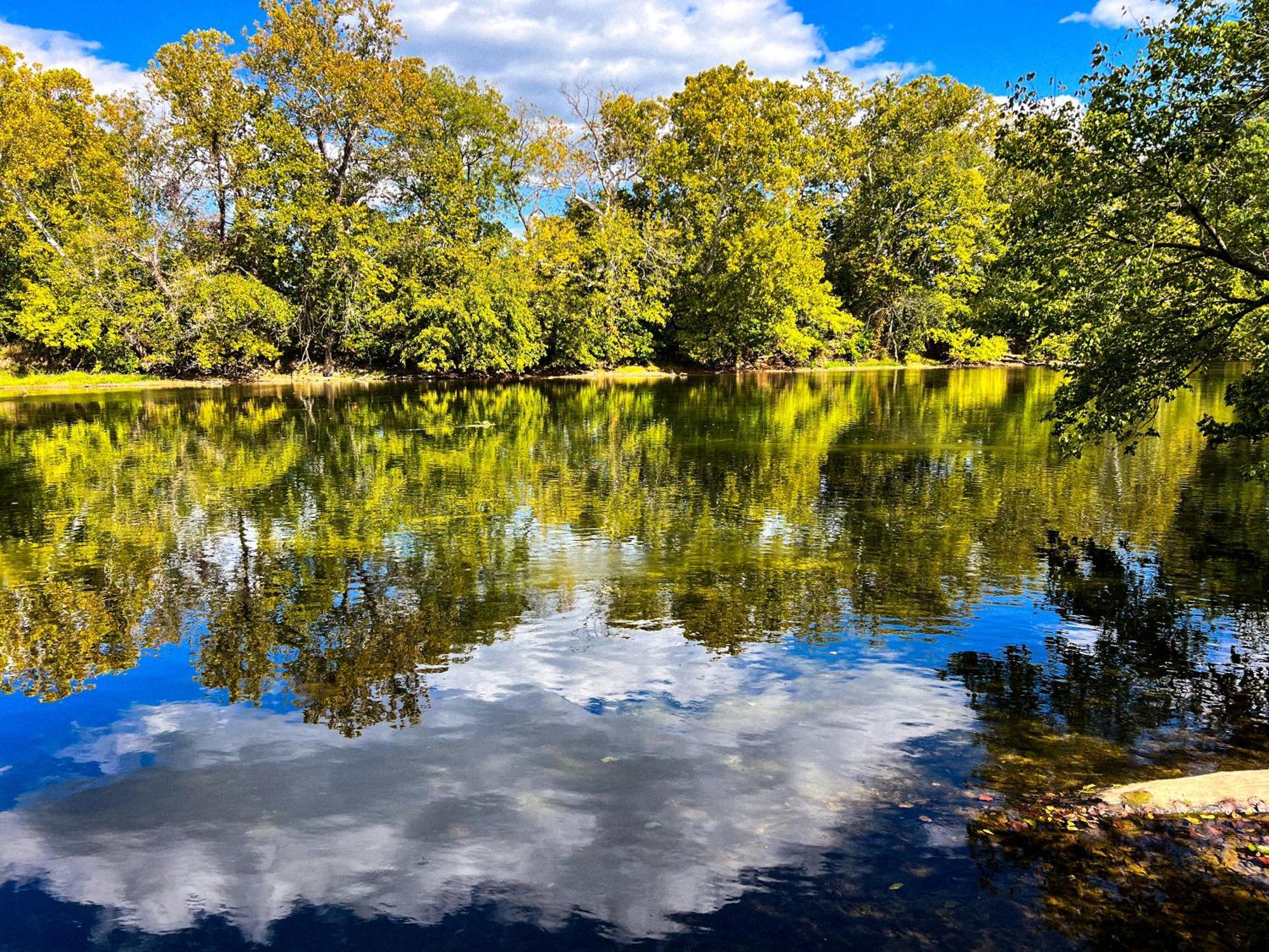 Luray Rv Resort On Shenandoah River المظهر الخارجي الصورة