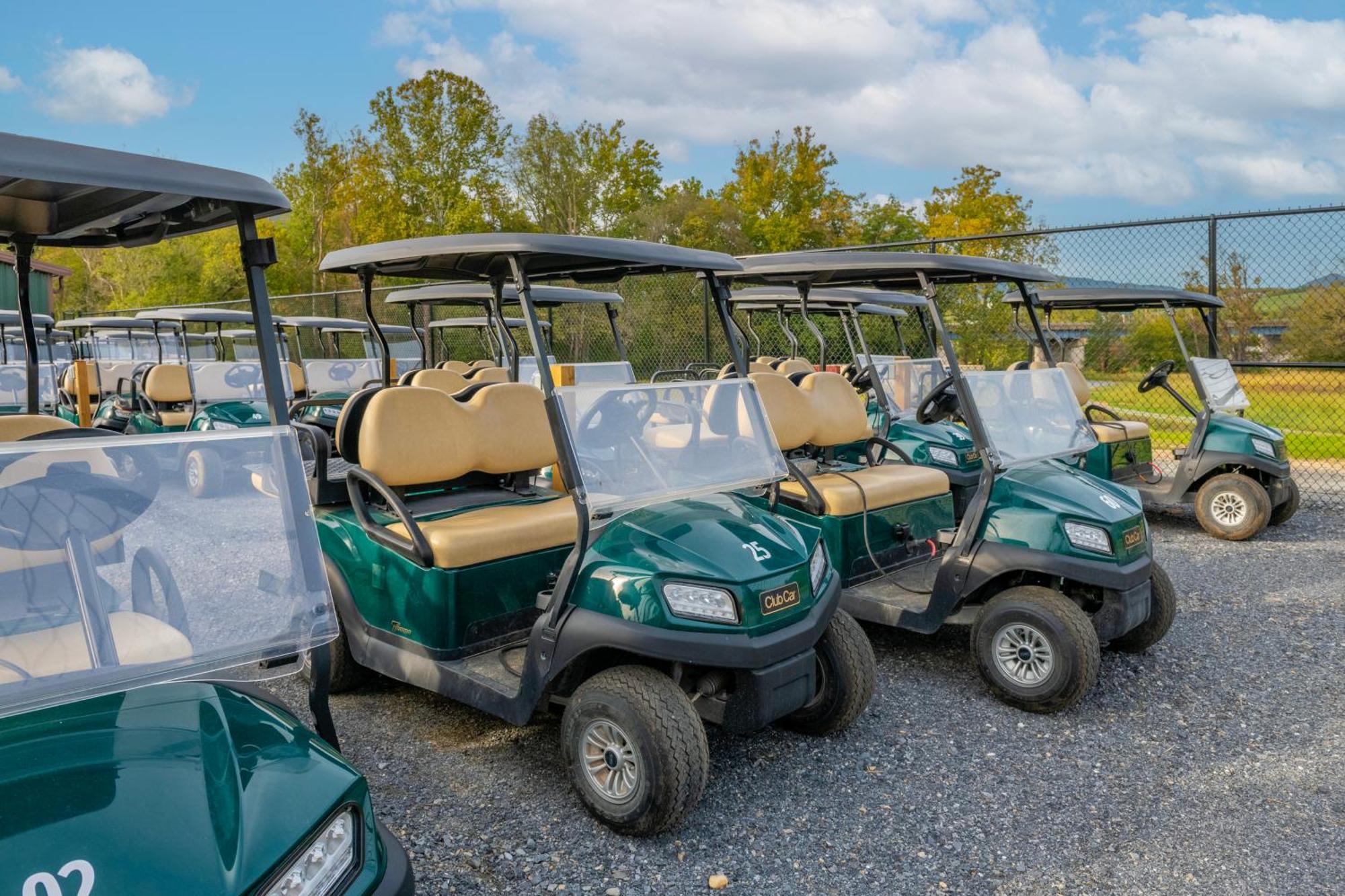 Luray Rv Resort On Shenandoah River المظهر الخارجي الصورة